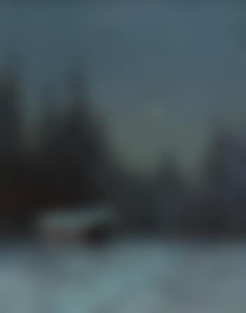 Mystery of Light, cabin in a nocturnal wooded landscape (preview)