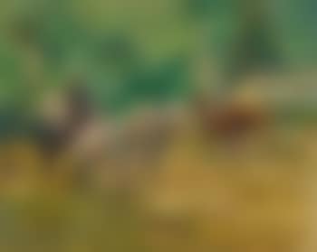 Spazierfahrt im Englischen Garten, München (preview)