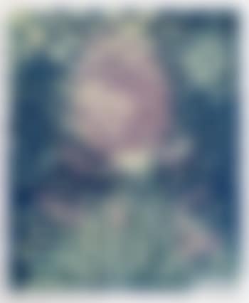 Ohne Titel (preview)