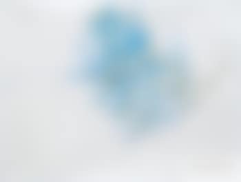 Ohne Titel (preview)