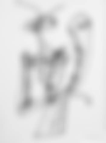 Frauen-portraits mit Hut (preview)
