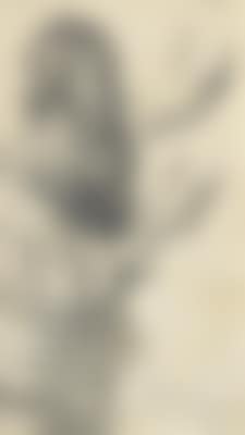 Study of a Bearded Man with Raised Arm, Hand Study (preview)