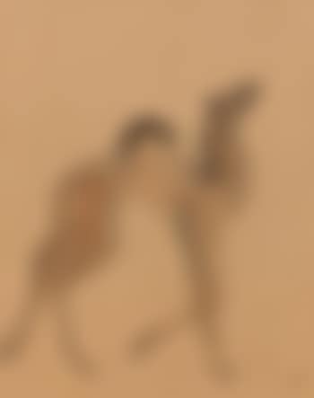 Dromadaire (preview)