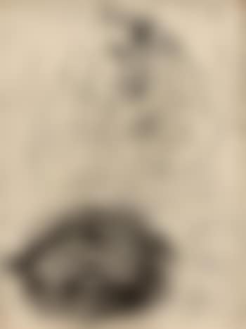 Étude de personnages (preview)