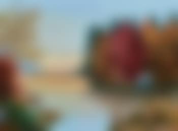 Untitled [Sunset at the Lake] (preview)