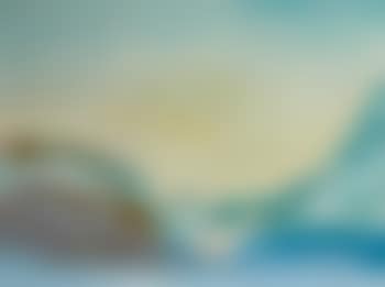 Bird in Landscape (preview)