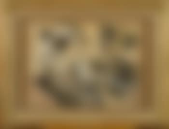 Etudes de chiens et de chats (preview)