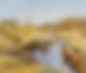 Berwick Landscape (preview)