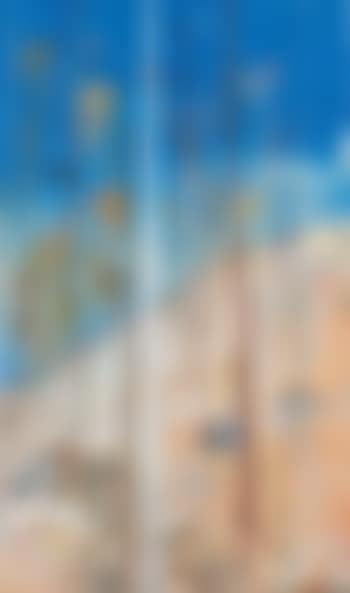 Shoalhaven Landscape (preview)