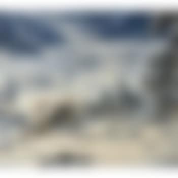 Alte Mühle im Schnee im Schwarzwald (preview)