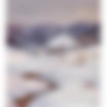 Schwarzwaldhof in abendlicher Winterlandschaft (preview)
