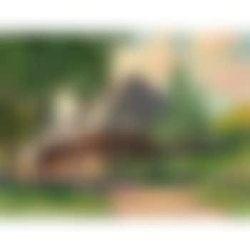 Sommer im Schwarzwald (preview)