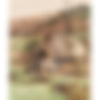 Schwarzwaldhof in sonnigem Tal (preview)