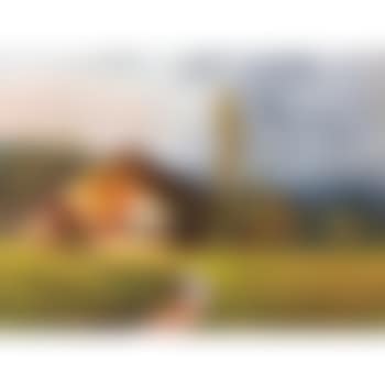 Der Moserhof in Oberprechtal (preview)
