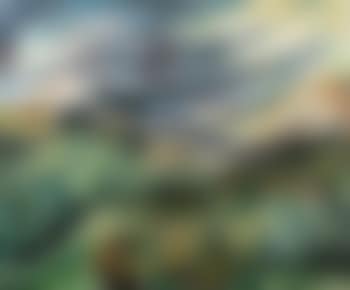 Paysage (preview)
