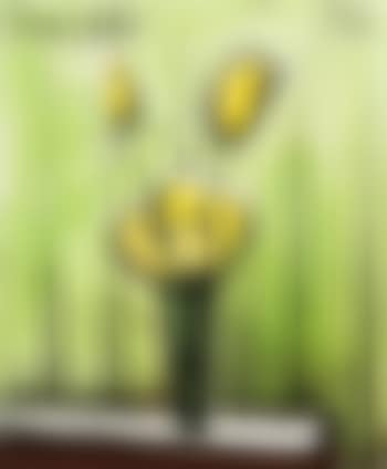 Roses jaunes fond vert (preview)