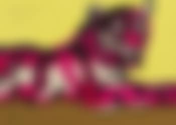 Le tigre (preview)