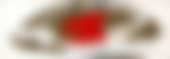 Senza titolo (preview)