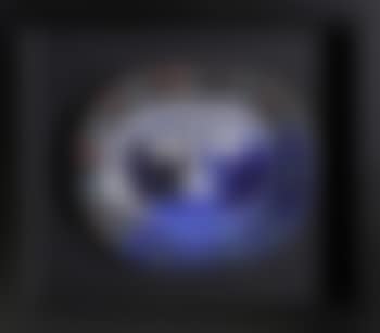 Visage Brun-Bleu (Brown Blue Face) (preview)