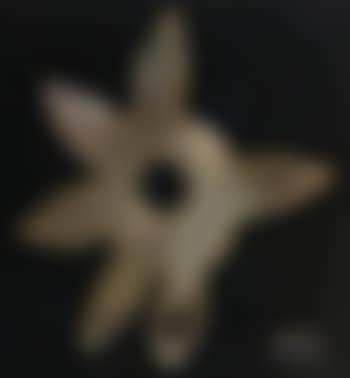 Etoile (preview)