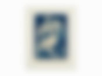 Coquette (preview)