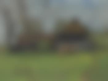 Silence (Farmstead) (preview)