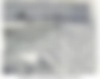 Untitled (No Intoxicating Liquors on the Beach) (preview)