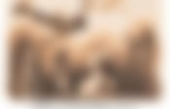 Nude Acrobats (preview)