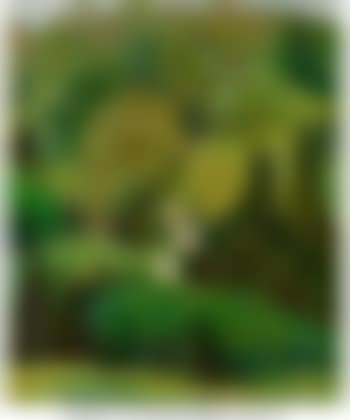 Verdant Landscape, Summer (preview)
