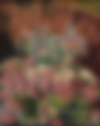 Composition aux trois bouquets (preview)