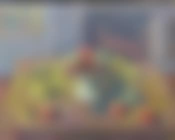 Still Life #11 (preview)