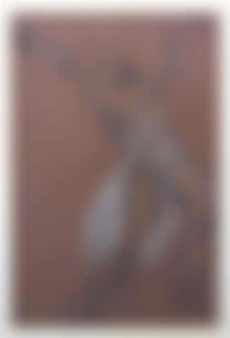 Isadora Duncan (preview)