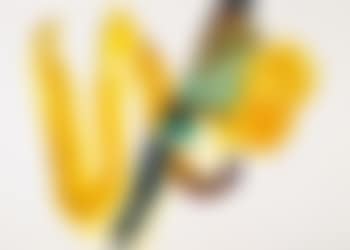 o.T. (K2) (preview)