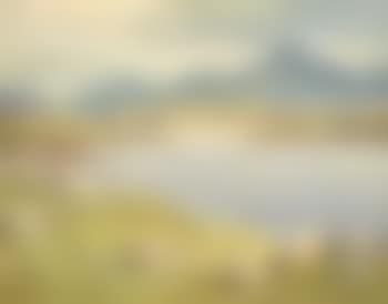 At Ballinakill, Connemara (preview)