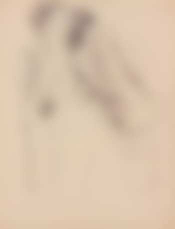 Studie eines weiblichen Aktes (preview)