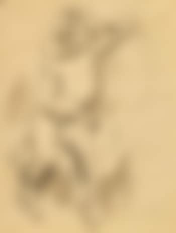 Nude of a youth (preview)