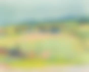 Sommerlandschaft bei Oschwand (preview)