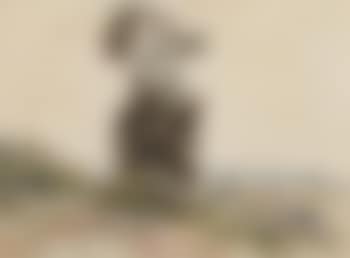 Un arbre (preview)
