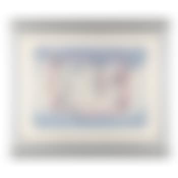 Poesia del Vuelo (preview)