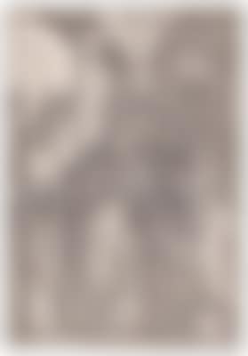 Saints Nicholas, Ulrich und Erasmus (preview)