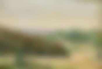 Sommerliche Landschaftspartie (preview)