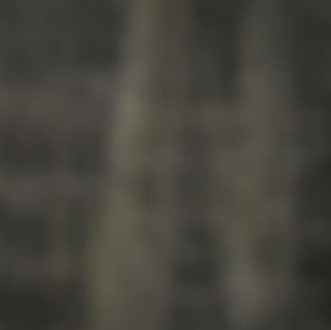 Backyard – Old Tree of Hometown 9 (preview)