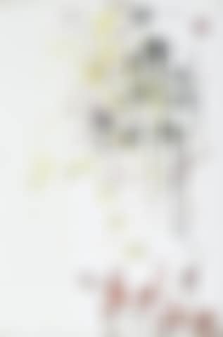 Portrait of Raquel Welch (preview)