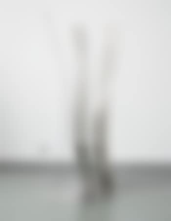 Due curve (preview)