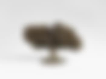 Baum (preview)