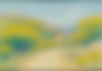 Route de campagne (preview)