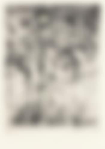 Superb Lilies from A Temple of Flora (preview)