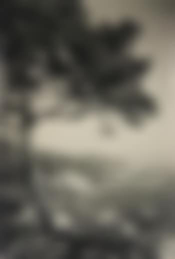 Del Monte, CA (preview)