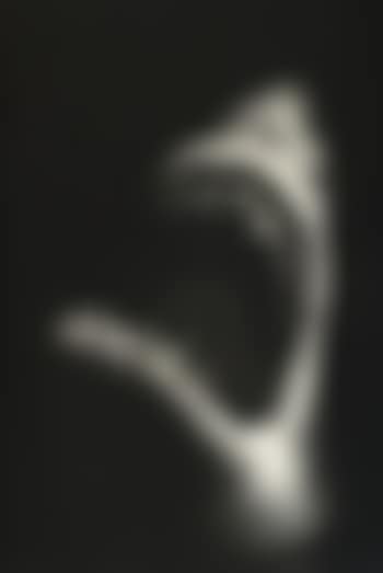 Untitled (Shark 7) (preview)