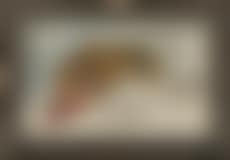 Le repas du tigre (preview)